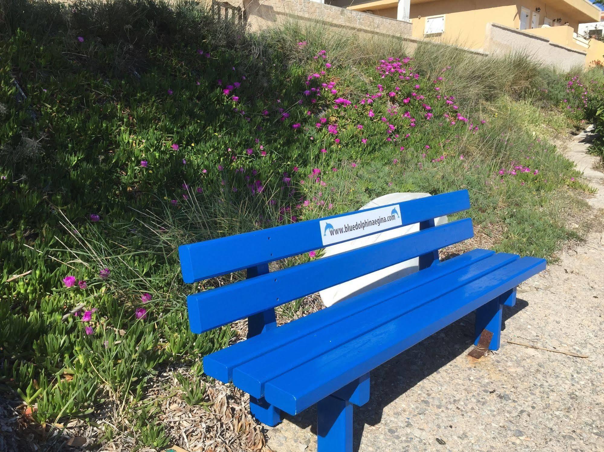 Vagia  Blue Dolphin Studios And Apartment מראה חיצוני תמונה